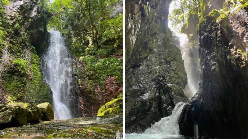古座川の秘境：ハリオの滝・植魚の滝