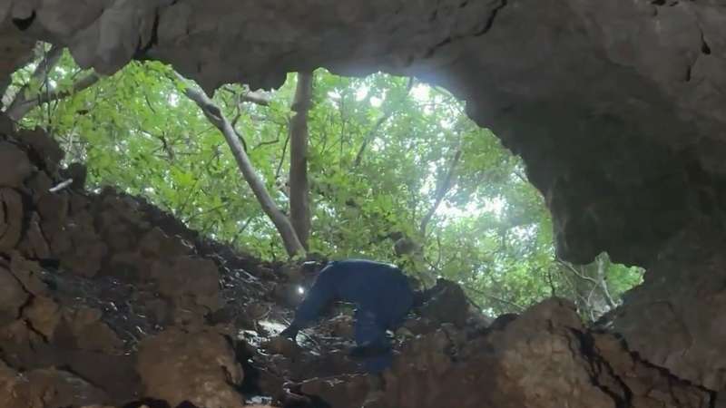 山の中にある鍾乳洞の入口